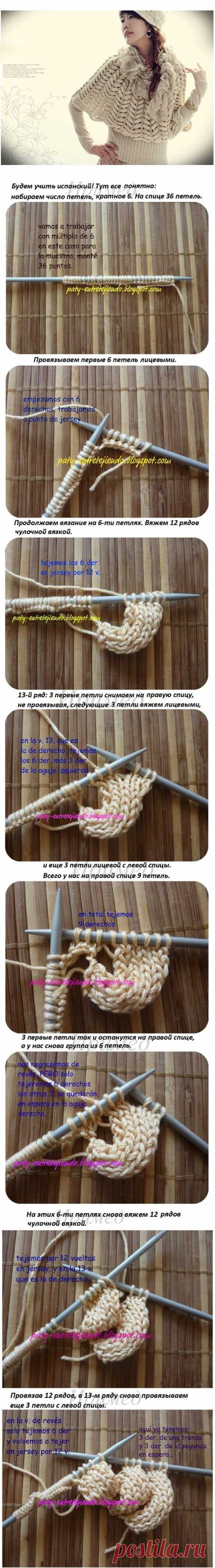АЗИАЦКИЙ КОЛОСОК