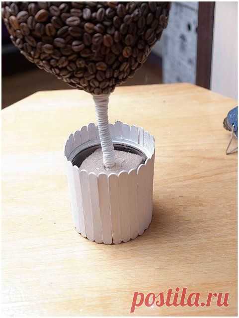 Поделки из кофейных зерен своими руками: мастер класс с фото и видео