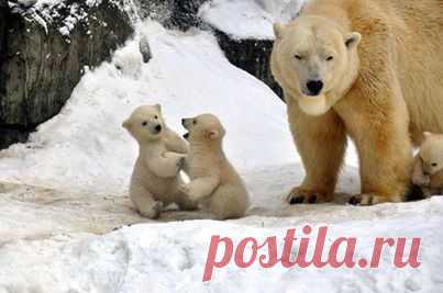 Fotoğraf / Doğa