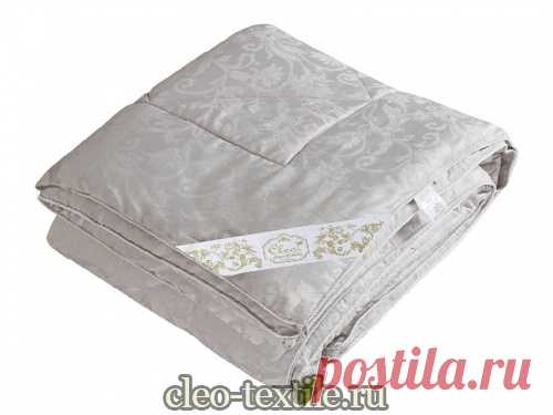 Одеяло Cleo Silk Dreams 200*220 200/012-SD Аргентус