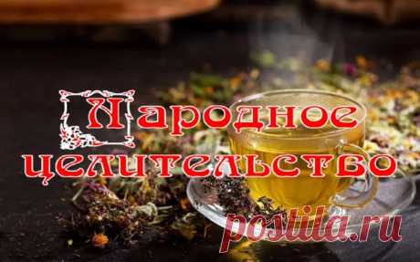 ТРАВЯНЫЕ СТАРОРУССКИЕ ЧАЙНЫЕ СБОРЫ

Домашний чай из травы! Предки наши знали в нем толк!

Не все травы "дышат в лад", то есть не все травы для чая, как и для лечебного сбора, можно соединять вместе; надо знать точные мерки, точное соотношение трав в сборе; есть травы, которые добавляются для "крепости духа" чая, для улучшения его вкуса, для отбивания нежелательного привкуса, и, наоборот, есть травы и сборы, нуждающиеся в таких добавках.

Если среди летнего благоухания трав...