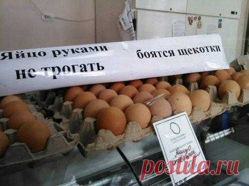 Владимир Викторович Репринцев - Луганск, Луганская обл., Украина, 57 лет на Мой Мир@Mail.ru