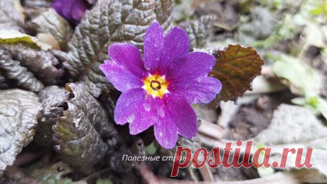 15 апреля - Тит-ледолом. Что категорически нельзя делать в этот день по народным приметам, обычаи и поверья дня | Полезные странички | Яндекс Дзен