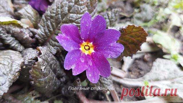 15 апреля - Тит-ледолом. Что категорически нельзя делать в этот день по народным приметам, обычаи и поверья дня | Полезные странички | Яндекс Дзен