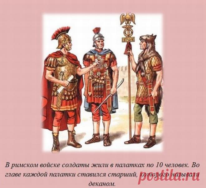 ПОЗНАВАТЕЛЬНЫЕ ФАКТЫ