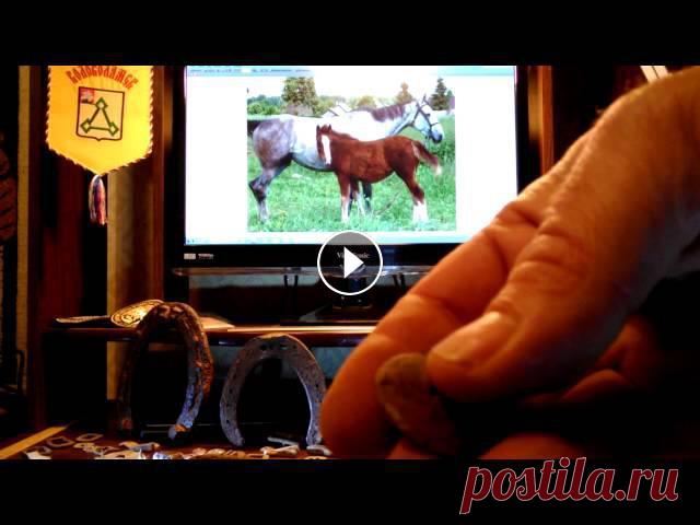 Оформления коллажей.Конские украшения.(КОНИНА)Коллаж из конских украшений....