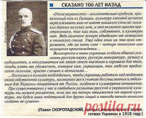 Лучшие цитаты за последнее время / Писец - приколы интернета