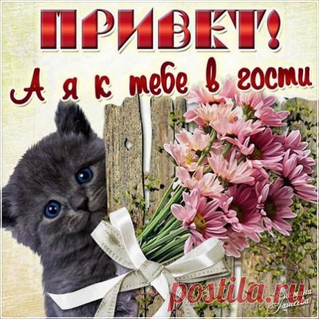 ПРИВЕТИК!