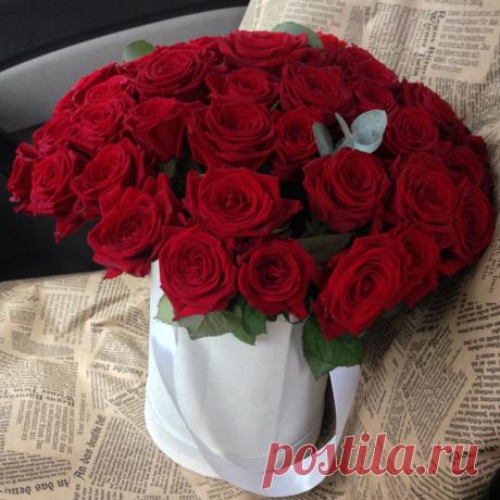 (1) Мой Мир@Mail.Ru