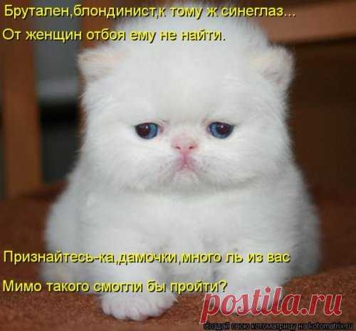 кто меня хочет? - Все-е-е-е!!!
