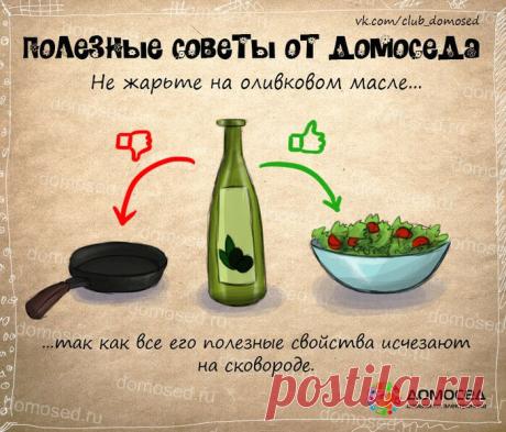Полезные советы от Домоседа