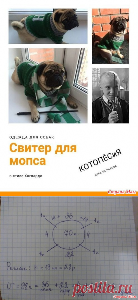 Свитер для мопса в духе Слизерин - Вязание - Страна Мам