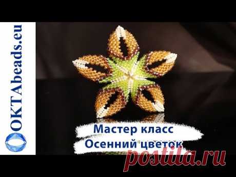 Мастер класс: Осенний цветок