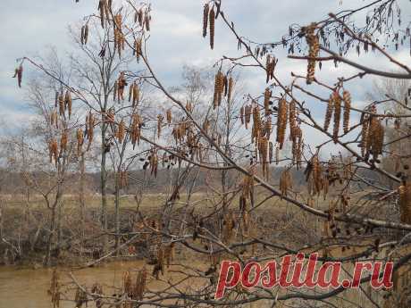 Фото Без названия. Альбом Мир,в котором я живу... - 132 фото. Фотографии Сергей Мартынов.