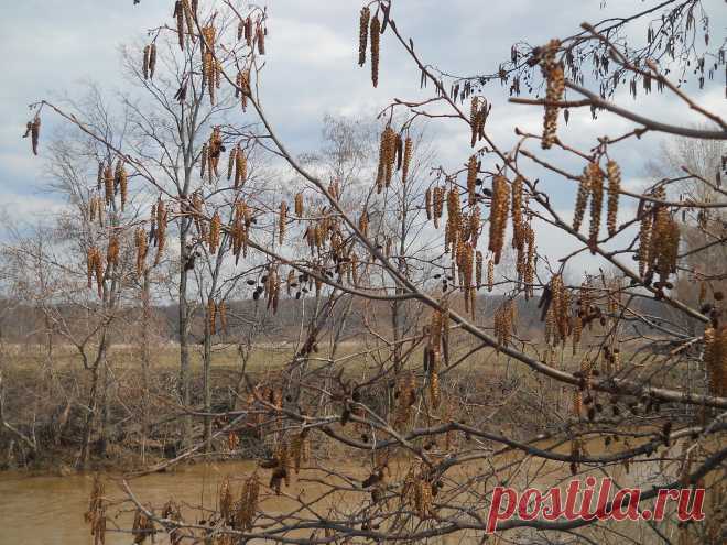 Фото Без названия. Альбом Мир,в котором я живу... - 132 фото. Фотографии Сергей Мартынов.