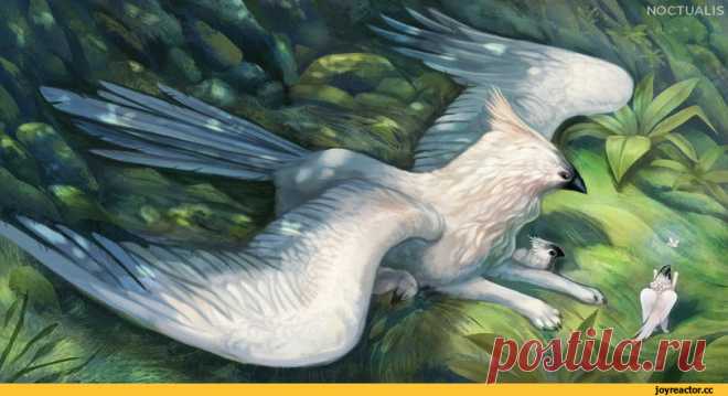 Мифические существа :: Fantasy (Fantasy art) :: грифоны :: Noctualis :: art (арт) / смешные картинки и другие приколы: комиксы, гиф анимация, видео, лучший интеллектуальный юмор.