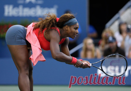 Теннисистка Макарова уступила Серене Уильямс в полуфинале US Open — Новости Тенниса — Спорт Mail.Ru