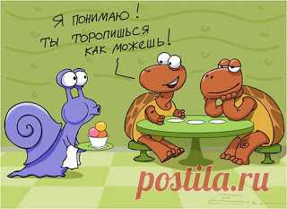 Анекдоты | ПараФраз