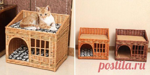 Находки AliExpress: женская толстовка, смарт-часы Amazfit Bip Lite и домик для питомца - Лайфхакер