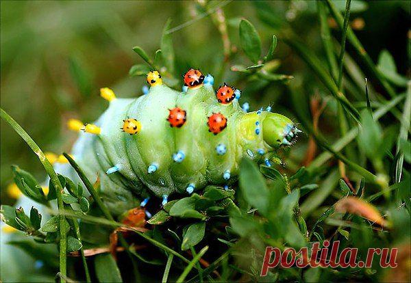 Интересные новости