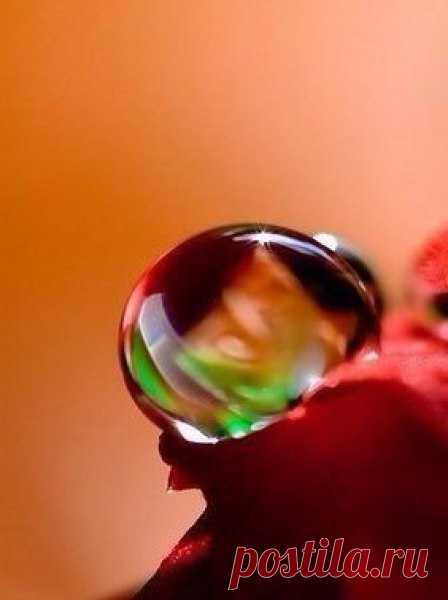 Алина: Думала,что не родился еще тот мужчина,который будет мной командовать,оказалось я его сама родила.