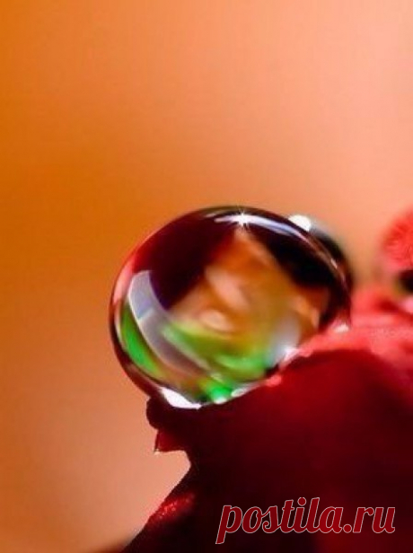 Алина: Думала,что не родился еще тот мужчина,который будет мной командовать,оказалось я его сама родила.