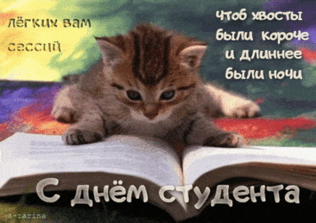 Гифки анимация с Днем студента