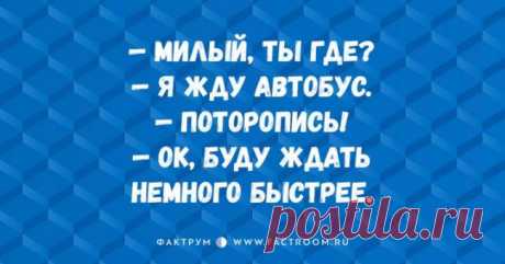 Приколы про семейные отношения | Чёрт побери