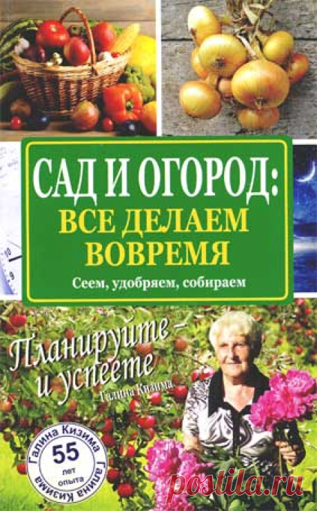 Все книги Г.А.Кизима