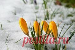 Сегодня 31 марта в народном календаре Кирилл — Дери полоз