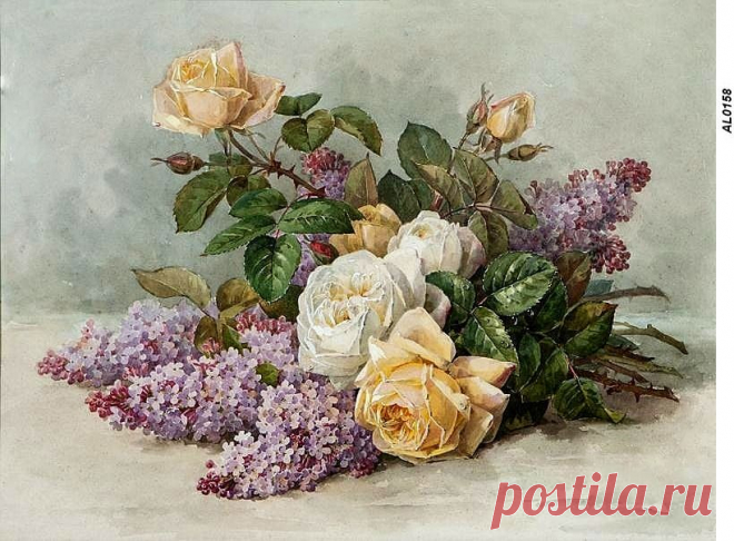 цветы и растения