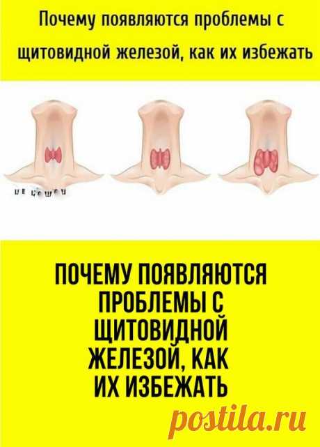 Заболевания щитовидной железы на сегодняшний день являются довольно популярными. Ими страдает большое количество людей, особенно женская половина. Это заболевание очень серьёзное, так как гормоны, содержащиеся в щитовидной железе, являются основными регуляторами гомеостаза организма человека. При непосредственном их участии происходят главные метаболические процессы в органах и тканях.