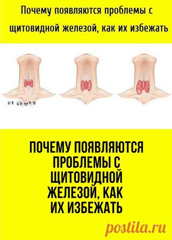 Заболевания щитовидной железы на сегодняшний день являются довольно популярными. Ими страдает большое количество людей, особенно женская половина. Это заболевание очень серьёзное, так как гормоны, содержащиеся в щитовидной железе, являются основными регуляторами гомеостаза организма человека. При непосредственном их участии происходят главные метаболические процессы в органах и тканях.