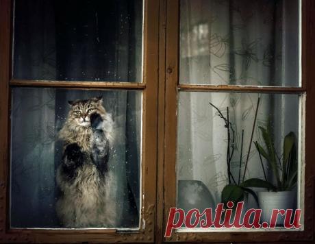 Главное, чтобы дома кто-то ждал – Фитнес для мозга