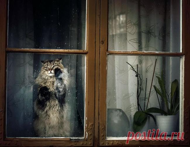 Главное, чтобы дома кто-то ждал – Фитнес для мозга