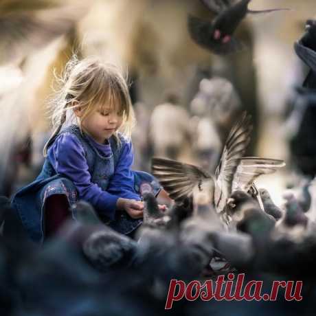 Пусть к тебе слетятся на порог Птицы счастья радужного цвета,
Чтобы их никто прогнать не смог, И на душе всегда царило лето!