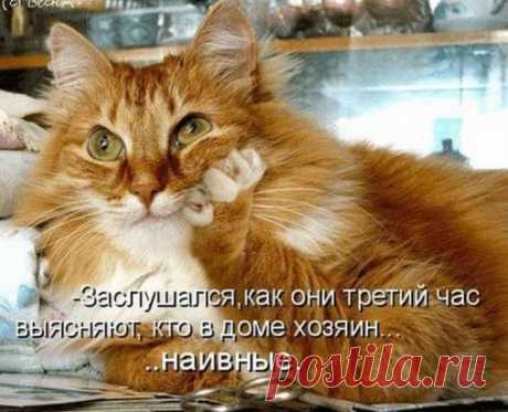 Одноклассники