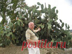 Համադասարանցիներ | увлечения