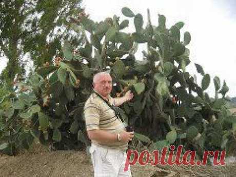 Համադասարանցիներ | увлечения