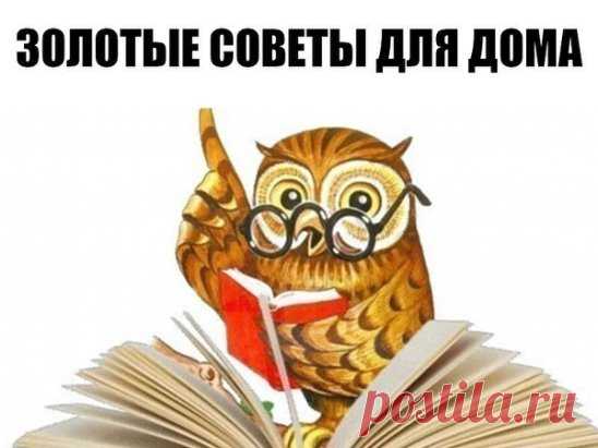 ЗОЛОТЫЕ СОВЕТЫ ДЛЯ ДОМА.
- Аспирин: разведите 2 таблетки в 100 мл горячей воды и смочите на 3 часа этим раствором следы дезодоранта на одежде. Они исчезнут.
- Хлеб: ломтик белого хлеба удалит сальные отпечатки пальцев со стены и с не моющихся обоев.
- Зубная нить: поможет накрепко пришить кнопки и пуговицы, а также отремонтировать зонты и рюкзаки.
- Цветные карандаши: раскрошенный грифель поможет замаскировать повреждения деревянного пола и мебели.
- Морозилка: если поместить в нее свечи не