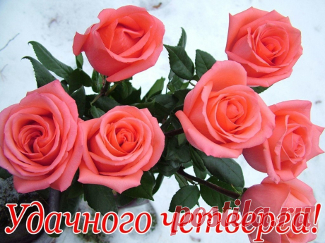 (5) Мой Мир@Mail.Ru