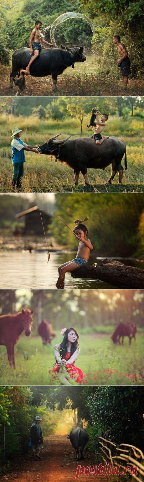 (+1) тема - Таиланд... Фотограф Саравут Вансет | Фотоискусство