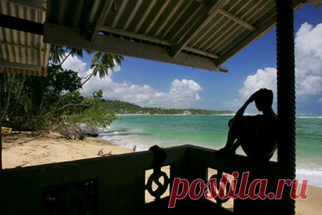 Названа новая глобальная угроза 2020 года Лето 2020 года обещает стать самым жарким за всю историю метеорологических наблюдений, заявили эксперты Национального управления океанических и атмосферных исследований США, слова которых цитирует издание New York Post.