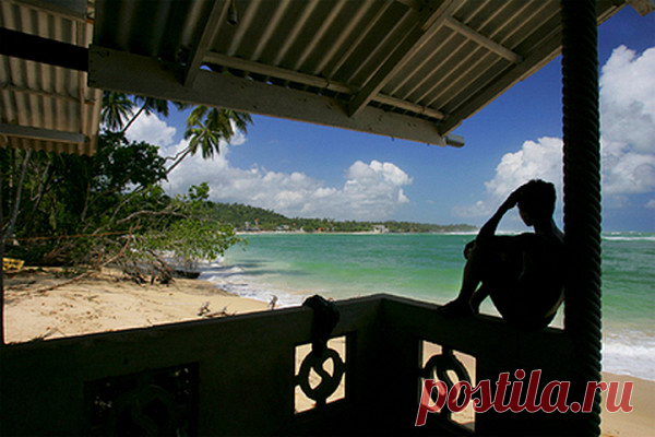 Названа новая глобальная угроза 2020 года Лето 2020 года обещает стать самым жарким за всю историю метеорологических наблюдений, заявили эксперты Национального управления океанических и атмосферных исследований США, слова которых цитирует издание New York Post.