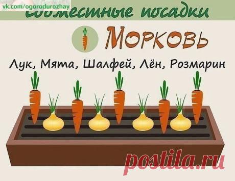 Природное земледелие, пермакультура, ЭМ