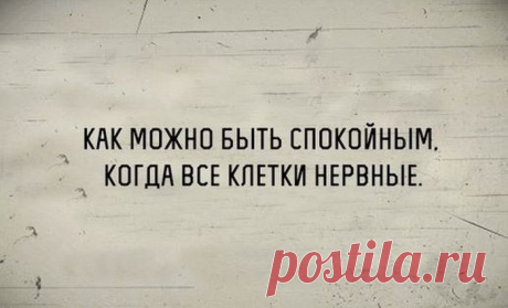 В точку! Только отборные цитаты / Писец - приколы интернета
