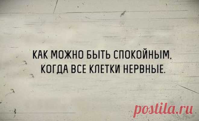 В точку! Только отборные цитаты / Писец - приколы интернета
