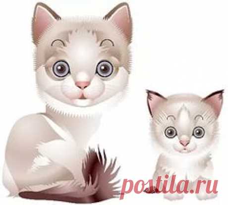 рисунки и картинки кошек и котят: 23 тыс изображений найдено в Яндекс.Картинках