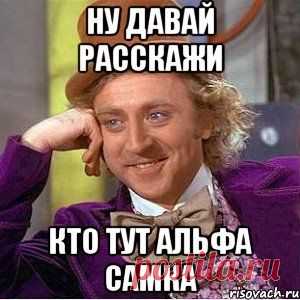 Альфа-самка – анти-стерва