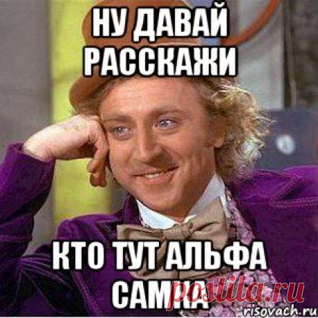 Альфа-самка – анти-стерва